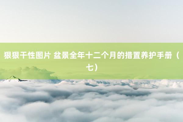 狠狠干性图片 盆景全年十二个月的措置养护手册（七）