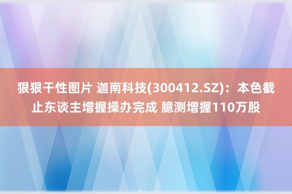 狠狠干性图片 迦南科技(300412.SZ)：本色截止东谈主增握操办完成 臆测增握110万股
