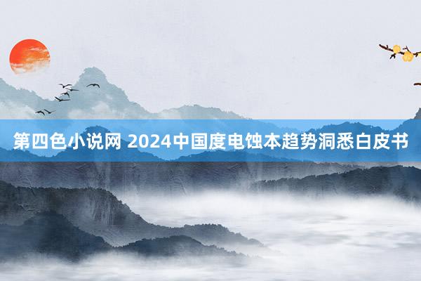 第四色小说网 2024中国度电蚀本趋势洞悉白皮书