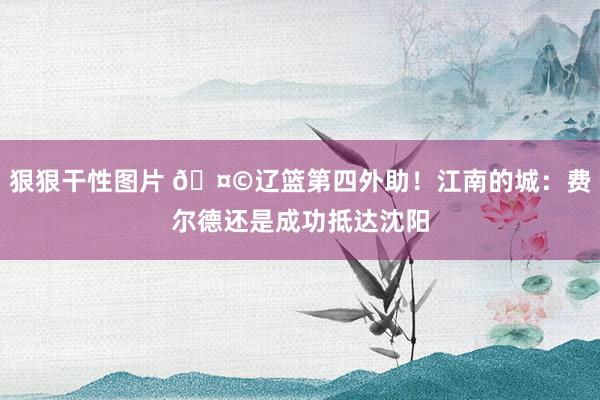狠狠干性图片 🤩辽篮第四外助!江南的城:费尔德还是成功抵达沈阳