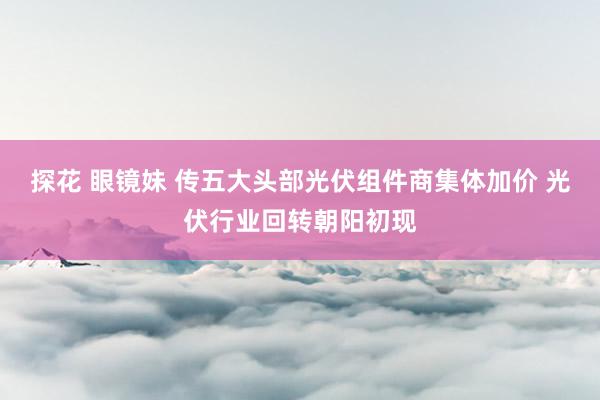 探花 眼镜妹 传五大头部光伏组件商集体加价 光伏行业回转朝阳初现