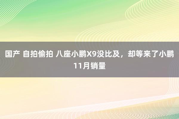 国产 自拍偷拍 八座小鹏X9没比及，却等来了小鹏11月销量