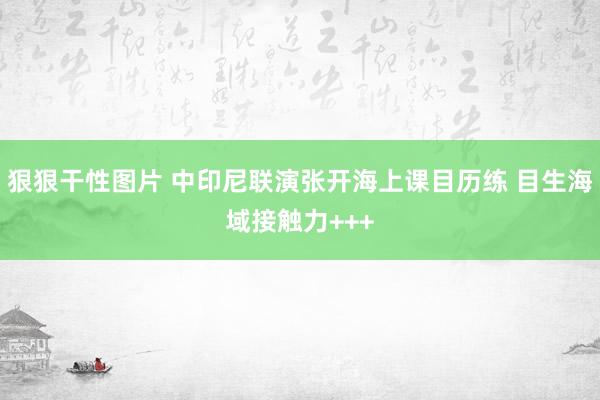 狠狠干性图片 中印尼联演张开海上课目历练 目生海域接触力+++