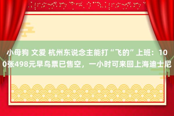 小母狗 文爱 杭州东说念主能打“飞的”上班：100张498元早鸟票已售空，一小时可来回上海迪士尼