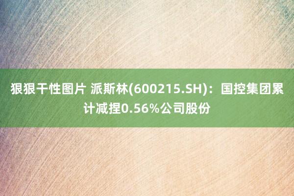 狠狠干性图片 派斯林(600215.SH)：国控集团累计减捏0.56%公司股份