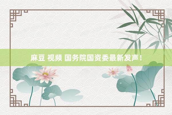 麻豆 视频 国务院国资委最新发声！