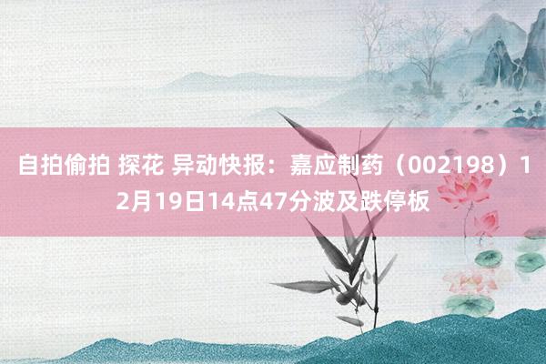 自拍偷拍 探花 异动快报:嘉应制药(002198)12月19日14点47分波及跌停板