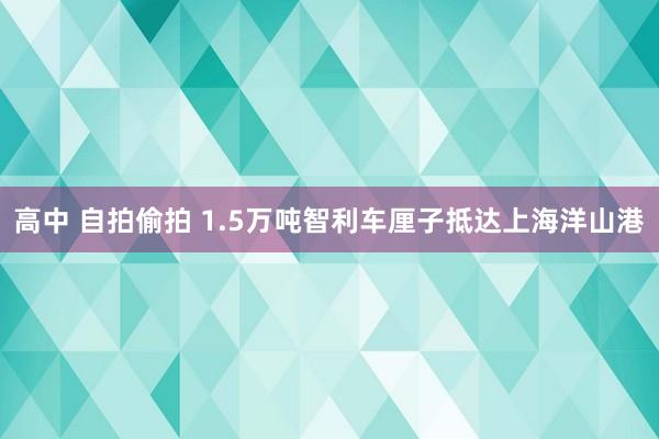 高中 自拍偷拍 1.5万吨智利车厘子抵达上海洋山港