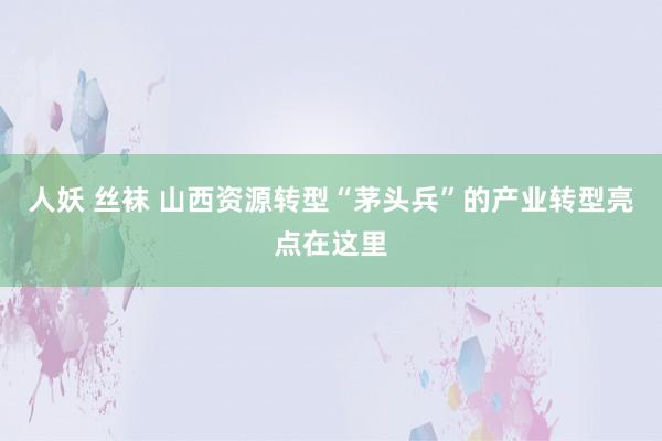 人妖 丝袜 山西资源转型“茅头兵”的产业转型亮点在这里