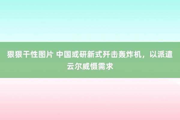 狠狠干性图片 中国或研新式歼击轰炸机，以派遣云尔威慑需求