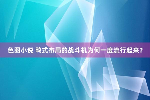 色图小说 鸭式布局的战斗机为何一度流行起来？