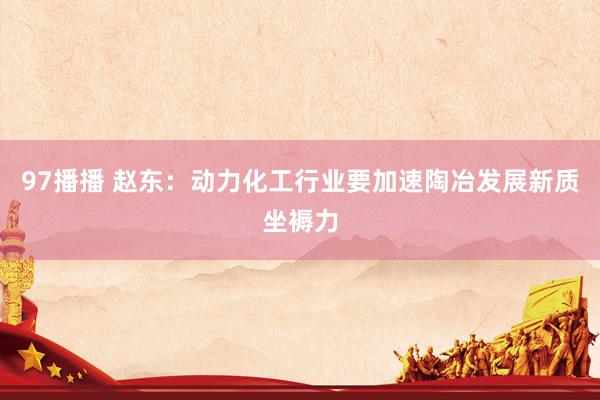 97播播 赵东：动力化工行业要加速陶冶发展新质坐褥力
