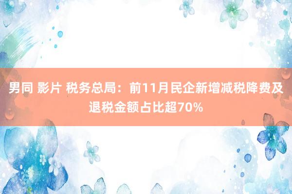 男同 影片 税务总局：前11月民企新增减税降费及退税金额占比超70%