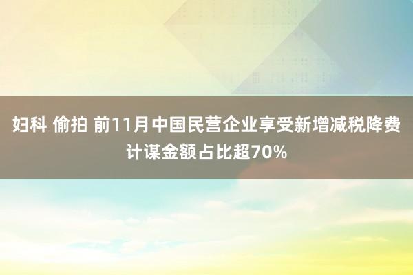 妇科 偷拍 前11月中国民营企业享受新增减税降费计谋金额占比超70%