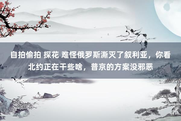 自拍偷拍 探花 难怪俄罗斯澌灭了叙利亚，你看北约正在干些啥，普京的方案没邪恶