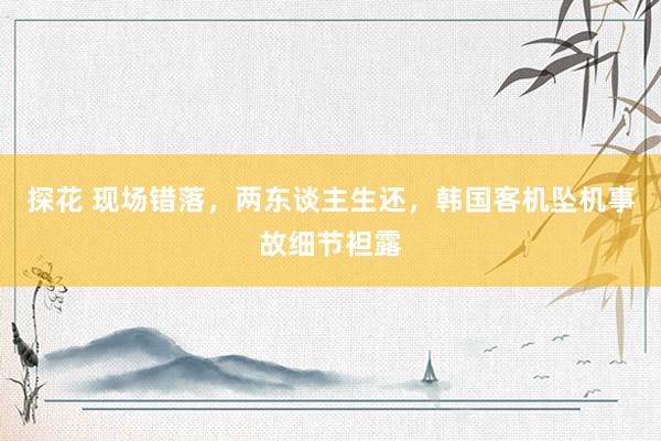 探花 现场错落，两东谈主生还，韩国客机坠机事故细节袒露