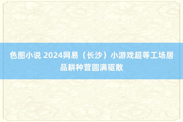 色图小说 2024网易（长沙）小游戏超等工场居品耕种营圆满驱散