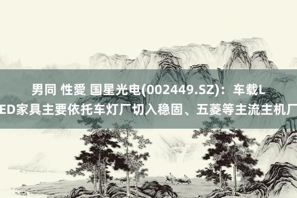 男同 性愛 国星光电(002449.SZ)：车载LED家具主要依托车灯厂切入稳固、五菱等主流主机厂