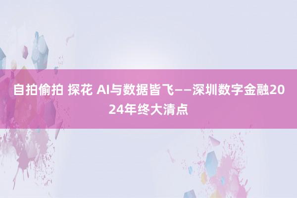 自拍偷拍 探花 AI与数据皆飞——深圳数字金融2024年终大清点
