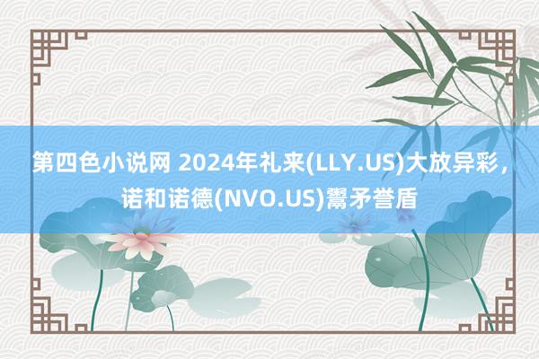 第四色小说网 2024年礼来(LLY.US)大放异彩，诺和诺德(NVO.US)鬻矛誉盾