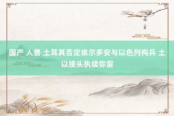 国产 人兽 土耳其否定埃尔多安与以色列构兵 土以接头执续弥留