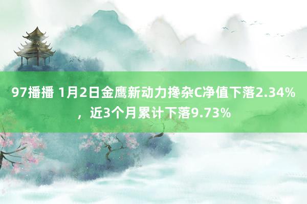 97播播 1月2日金鹰新动力搀杂C净值下落2.34%，近3个月累计下落9.73%