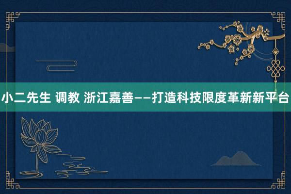 小二先生 调教 浙江嘉善——打造科技限度革新新平台