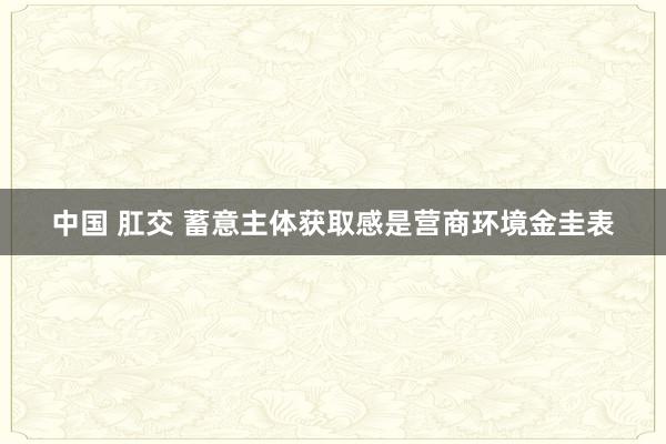 中国 肛交 蓄意主体获取感是营商环境金圭表