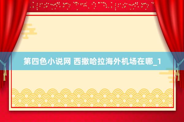 第四色小说网 西撒哈拉海外机场在哪_1