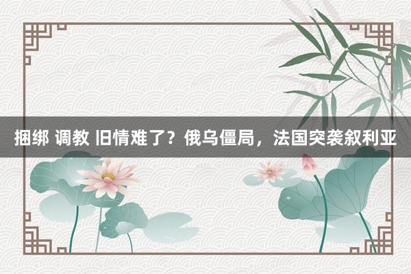 捆绑 调教 旧情难了？俄乌僵局，法国突袭叙利亚
