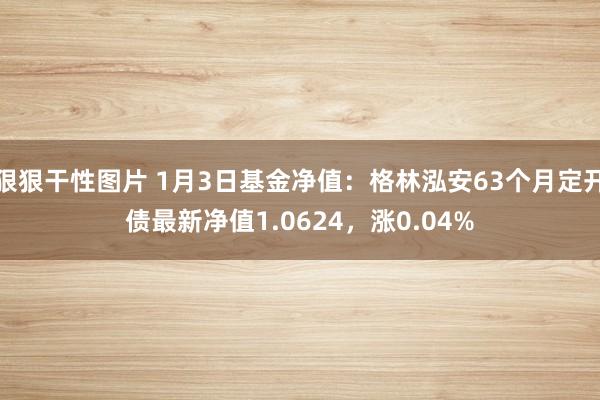 狠狠干性图片 1月3日基金净值：格林泓安63个月定开债最新净值1.0624，涨0.04%