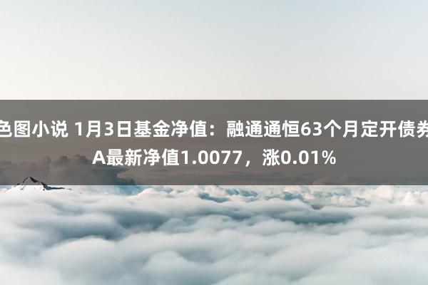 色图小说 1月3日基金净值：融通通恒63个月定开债券A最新净值1.0077，涨0.01%