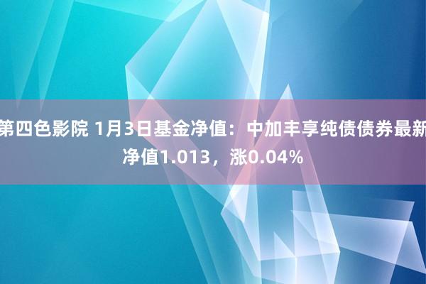 第四色影院 1月3日基金净值：中加丰享纯债债券最新净值1.013，涨0.04%