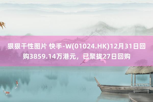 狠狠干性图片 快手-W(01024.HK)12月31日回购3859.14万港元，已聚拢27日回购