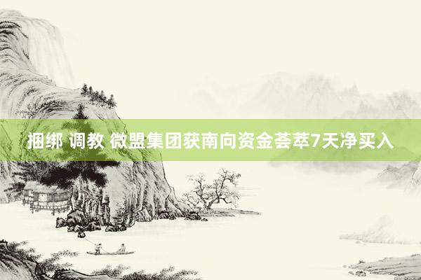 捆绑 调教 微盟集团获南向资金荟萃7天净买入