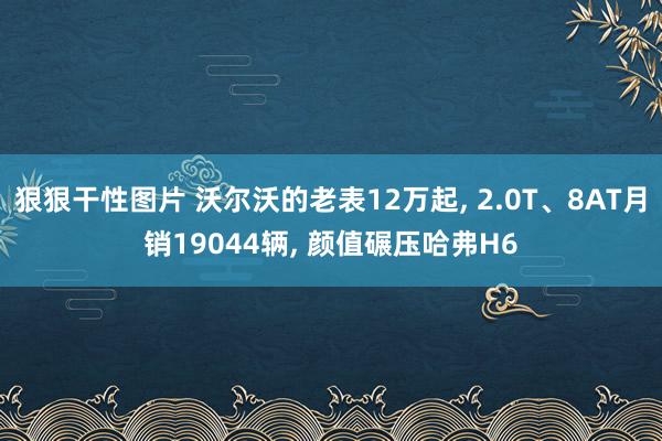 狠狠干性图片 沃尔沃的老表12万起， 2.0T、8AT月销19044辆， 颜值碾压哈弗H6