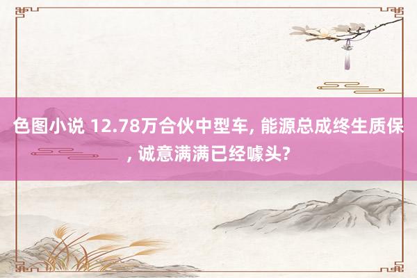 色图小说 12.78万合伙中型车， 能源总成终生质保， 诚意满满已经噱头?
