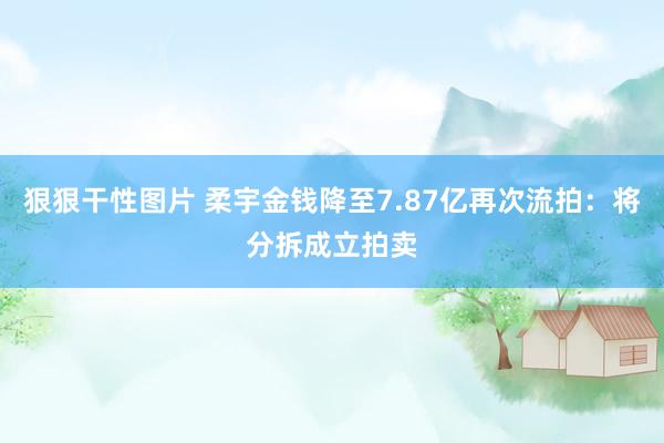狠狠干性图片 柔宇金钱降至7.87亿再次流拍：将分拆成立拍卖