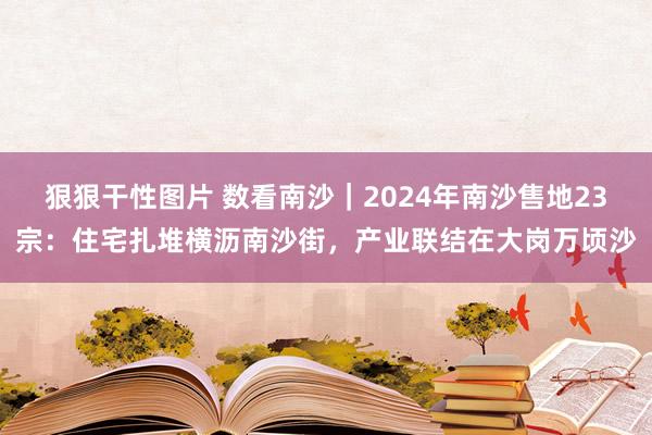 狠狠干性图片 数看南沙｜2024年南沙售地23宗：住宅扎堆横沥南沙街，产业联结在大岗万顷沙