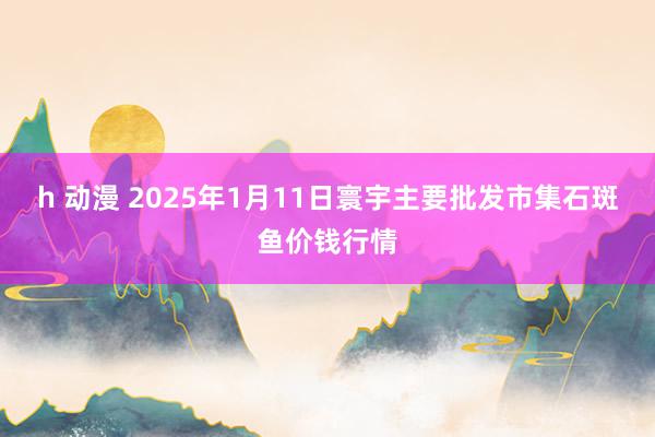 h 动漫 2025年1月11日寰宇主要批发市集石斑鱼价钱行情