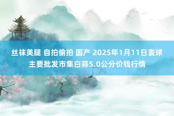 丝袜美腿 自拍偷拍 国产 2025年1月11日寰球主要批发市集白蒜5.0公分价钱行情