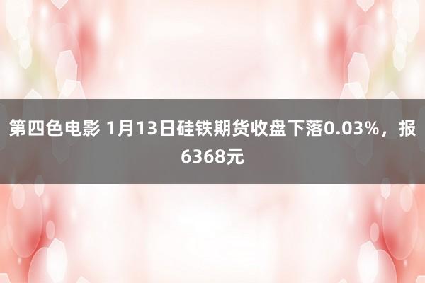 第四色电影 1月13日硅铁期货收盘下落0.03%，报6368元