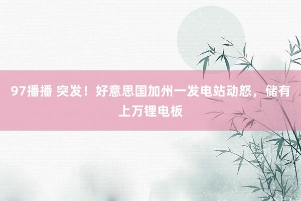 97播播 突发！好意思国加州一发电站动怒，储有上万锂电板