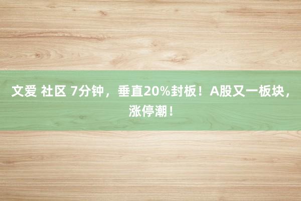 文爱 社区 7分钟，垂直20%封板！A股又一板块，涨停潮！