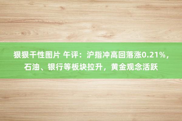 狠狠干性图片 午评：沪指冲高回落涨0.21%，石油、银行等板块拉升，黄金观念活跃