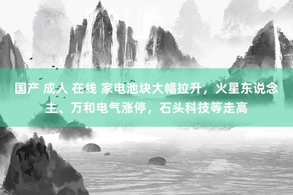 国产 成人 在线 家电池块大幅拉升，火星东说念主、万和电气涨停，石头科技等走高
