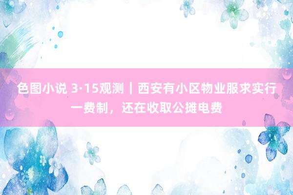 色图小说 3·15观测｜西安有小区物业服求实行一费制，还在收取公摊电费