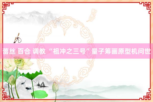 蕾丝 百合 调教 “祖冲之三号”量子筹画原型机问世