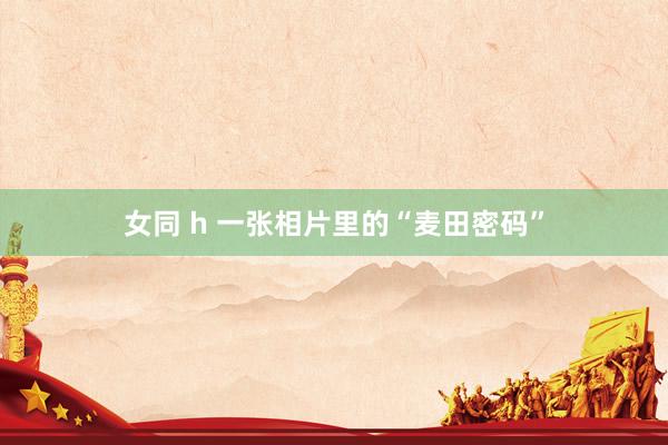 女同 h 一张相片里的“麦田密码”