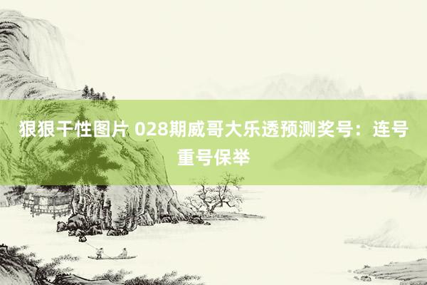 狠狠干性图片 028期威哥大乐透预测奖号：连号重号保举